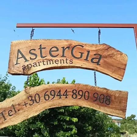 Holiday home Chalkidiki Astergia *