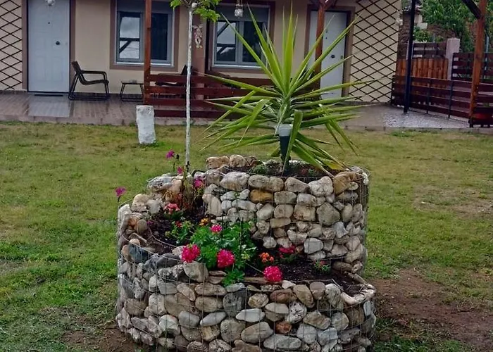 Chalkidiki Astergia